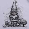 álbum Fadas e Gnomos